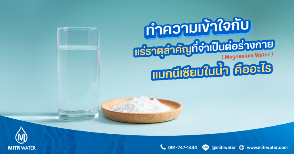 ทำความเข้าใจกับ-แมกนีเซียมในน้ำ-(-Magnesium-Water-)-คืออะไร--แร่ธาตุสำคัญที่จำเป็นต่อร่างกาย