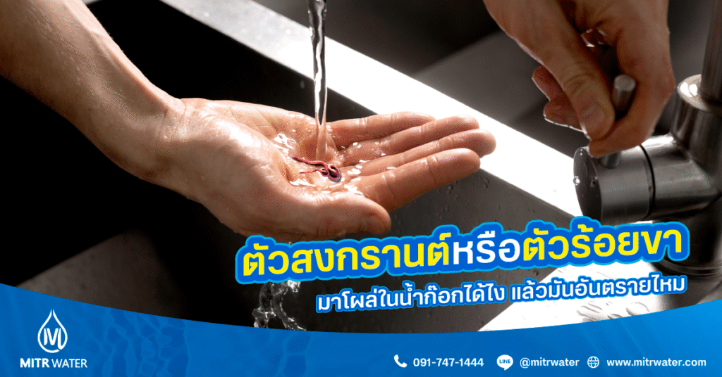 ตัวสงกรานต์