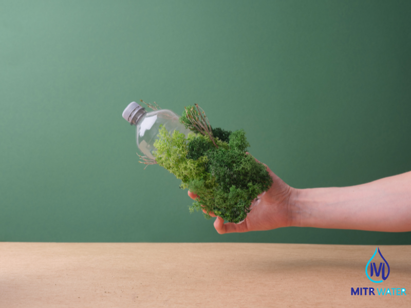 ตะไคร่ในถังเก็บน้ำ