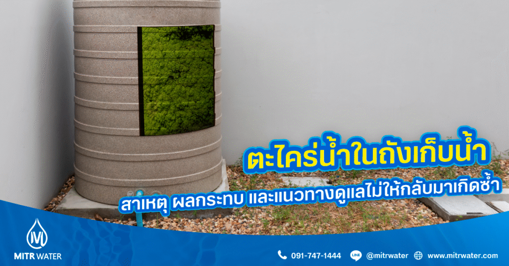 ตะไคร่น้ำ