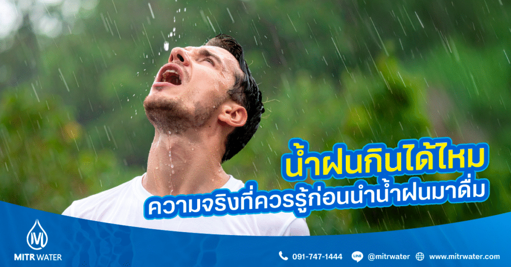 น้ำฝนกินได้ไหม